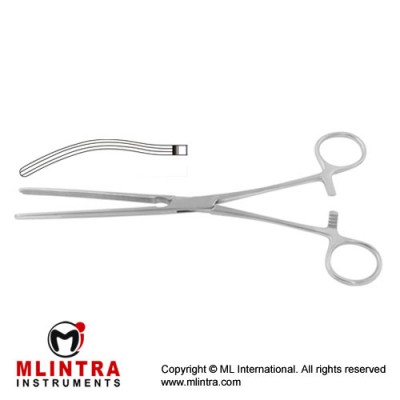 Kocher Intestinal Clamp Curved Stainless Steel, 22 cm - 8 3/4"
